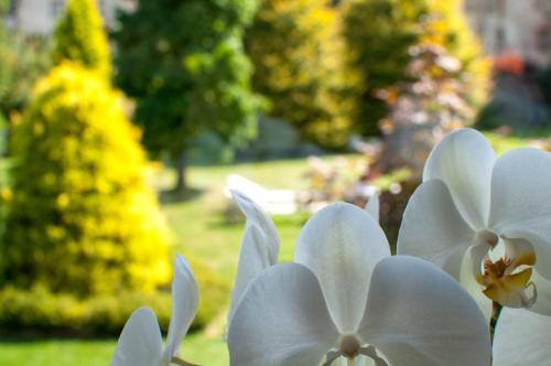 Il giardino segreto - SPORT & RELAX gîte à louer Borgo Ponte