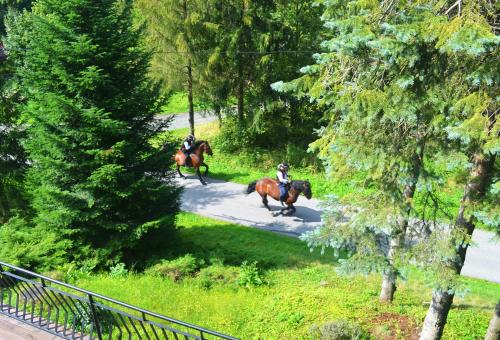 Villa Platinum - image 6