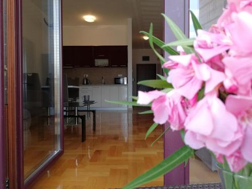 Apartment Anatolia of Becici - main image