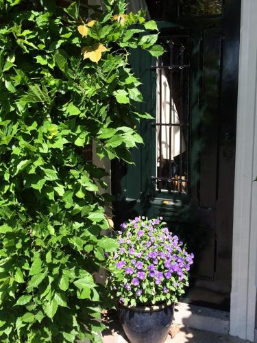 B&B Muntzicht - image 3