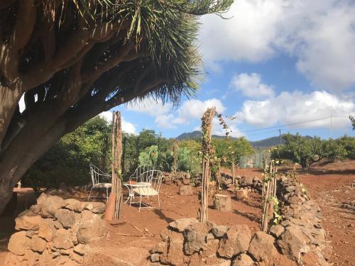 Finca El Vergel Rural