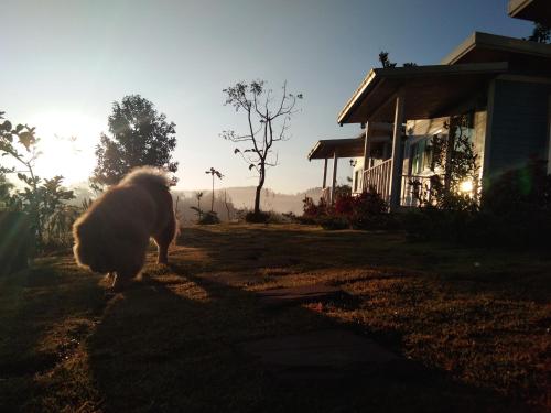 Baan Suan Ketkanok Baan Suan Ketkanok