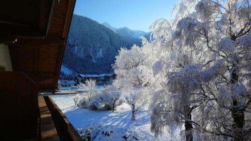 Suasana persekitaran, Hotel Garni Birkenhof in Mayrhofen