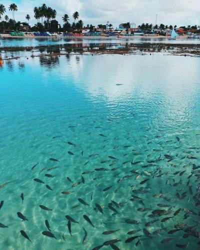 Laguna Beach Flat in Porto De Galinhas