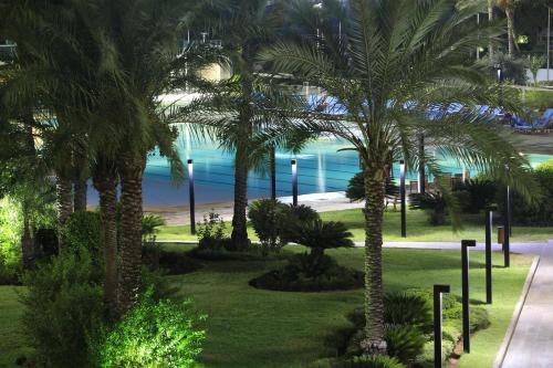 Beach, Miramar Hotel Resort and Spa in Al Qalamun