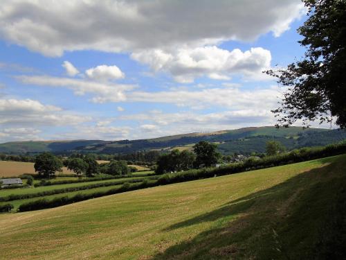 Pwllgwilym B & B - image 13