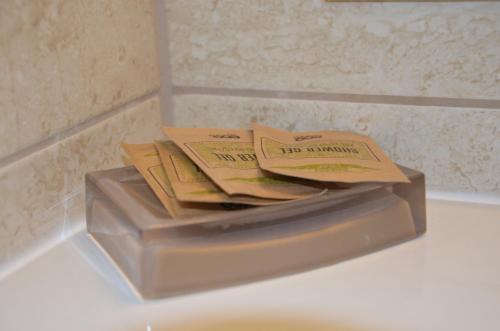 Banheiro, Hotel Bartnik in Pszczolki