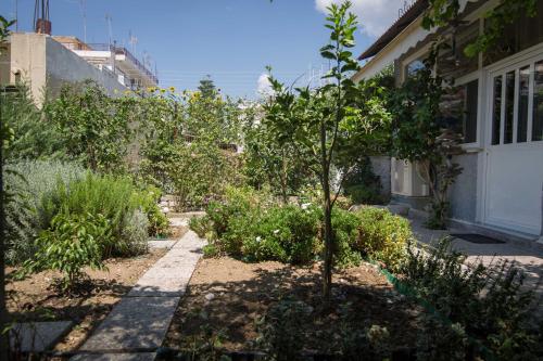  Petros's House in Mesolongi