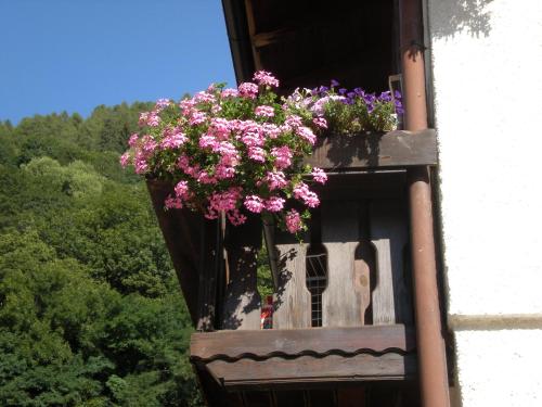  Casa Martini in Mezzana