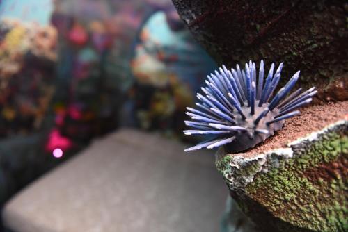 MagicSuite Guest House Roma Portuense - image 12