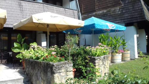 Kert, Hotel Jogar in Balatonföldvar