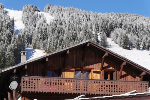 Edelweiss - Location saisonnière - Les Gets