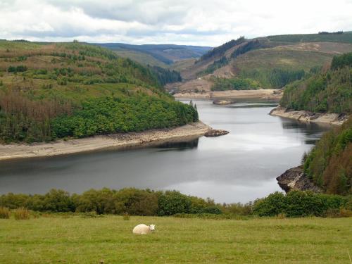 Apkārtne, Pwllgwilym Holiday Cottages and B&B in Cilmery