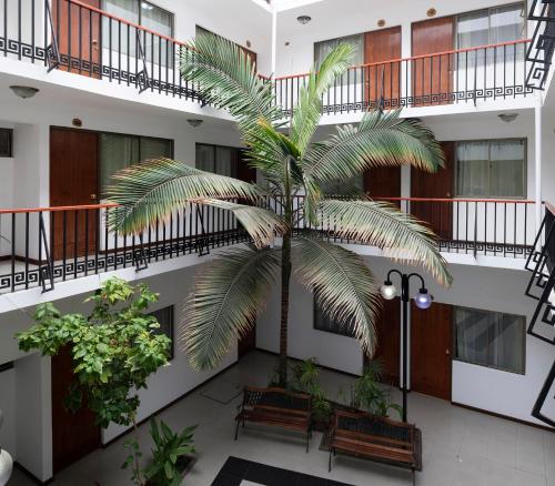 Garden, Hotel Samana in Arica