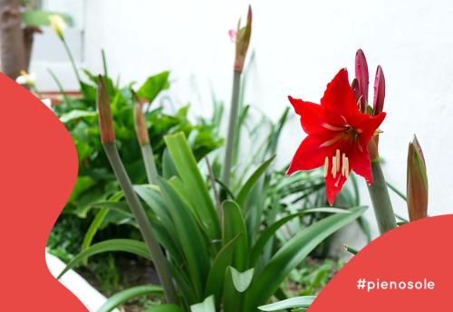 pienosole B&B in Francavilla al Mare