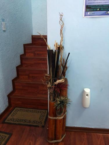 Hostal Alua Rio in La Concepcion