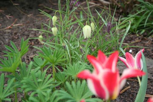 Messezimmer 4 u 2 - image 8