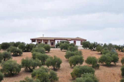 B&B La Carlota - Casa Rural la Serrana - Bed and Breakfast La Carlota