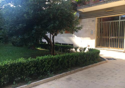 APT Maria Sofia