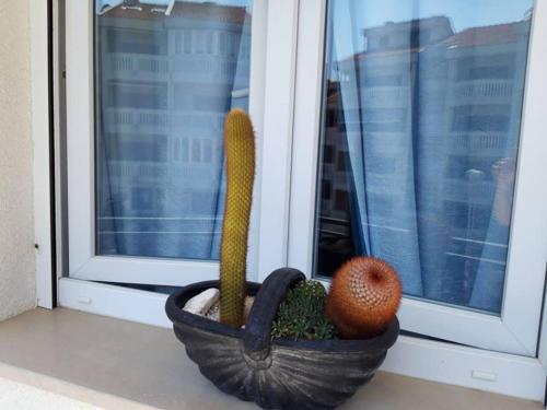  apartmani AMOR in Crikvenica