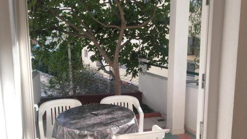 Apartment Dragovic