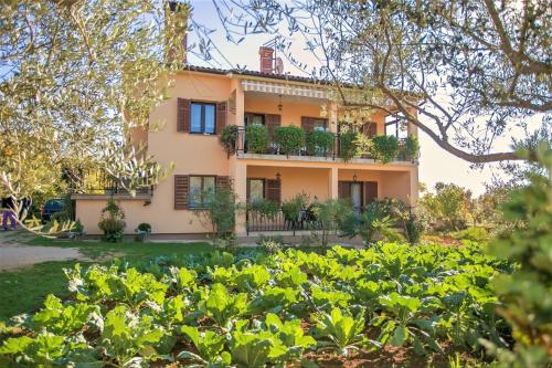  Apartment Ana Sveti Lovreč, Unterkunft in Sveti Lovreč Pazenatički