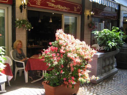 Hotel Da Cesare - image 3