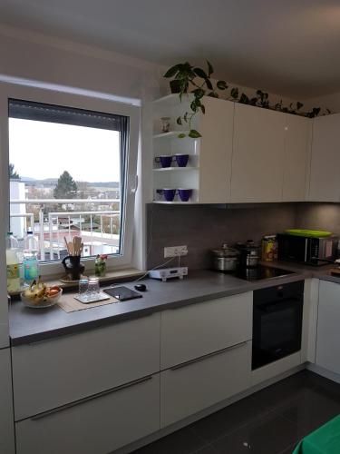 Apartment near Frankfurt, fantastic view! in Usingen