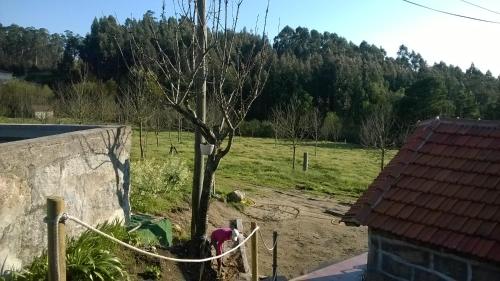  Casa do Peneirado in Penafiel