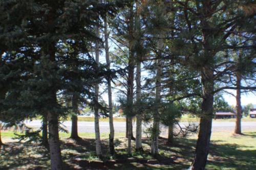 Pines 4031, Pagosa Springs (fotografie 8)