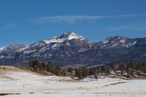Aspenwood 4229-30 - image 2