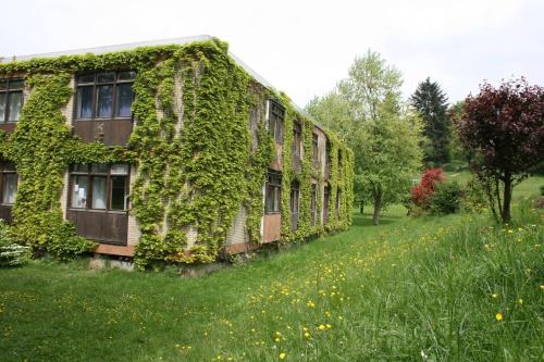 Blumenwiese Appartement