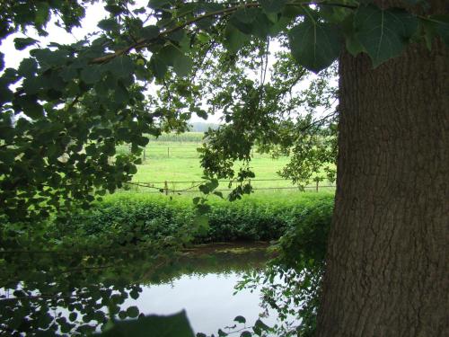 B&B Onder Ons Riet - image 13
