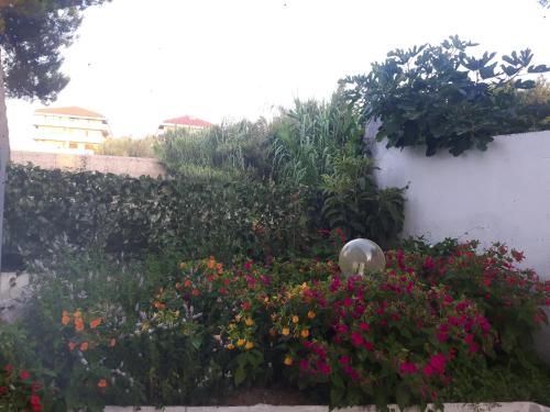Vista exterior, pienosole B&B in Francavilla al Mare