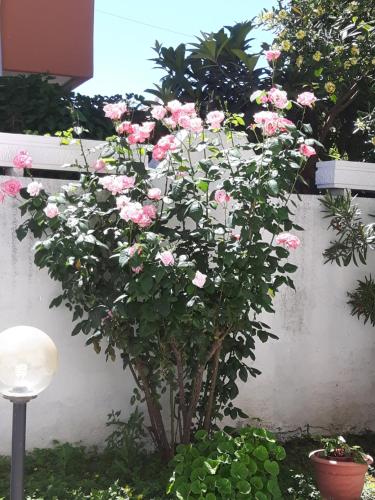 pienosole B&B