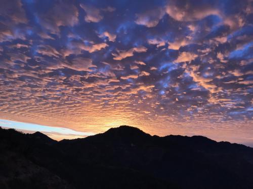 Nearby attraction, NamaStay Himalayas! KANATAL in Kanatal