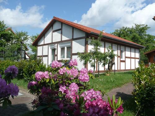 B&B Bachenbrock - Ferienhaus Kogge im Feriendorf Alt - Bed and Breakfast Bachenbrock