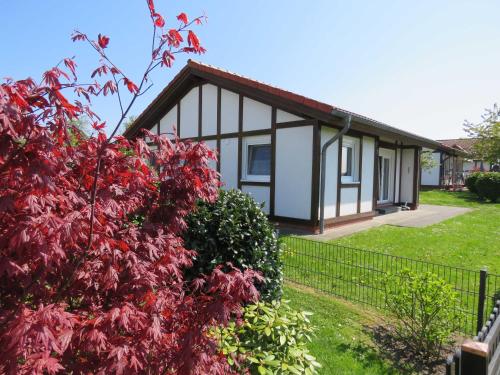 Ferienhaus Kogge im Feriendorf Alt