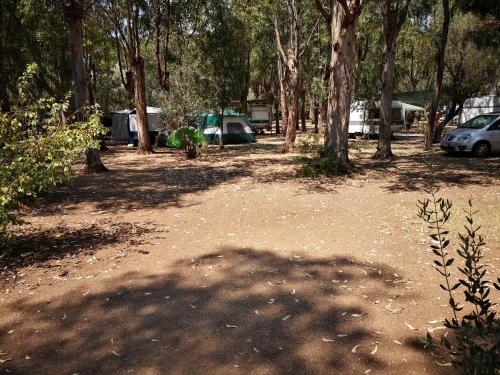 Village Camping Fico D'India