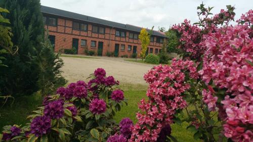 Hotelli välisilme, Landferienhof "Müritzufer" (Landferienhof "Muritzufer") in Ludorf