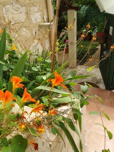 Appartement avec jardin privatif proche ASFO