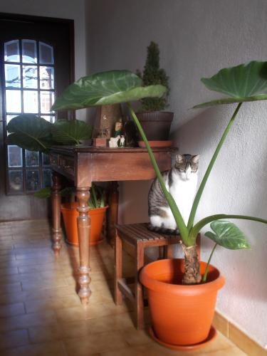 设施服务, ztiR in 普拉亚达洛查