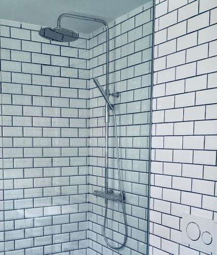 Terreno Studios - image 2