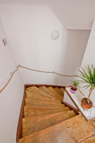 Centrum House Hostel - image 6