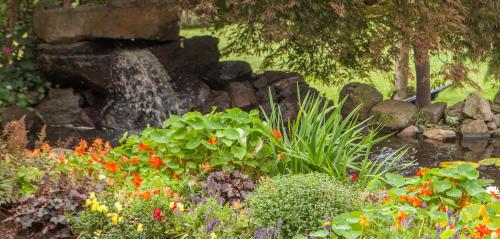 Churchtown Inn Bed and Breakfast - image 8