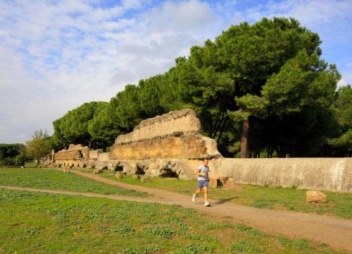 City Guest House - image 4