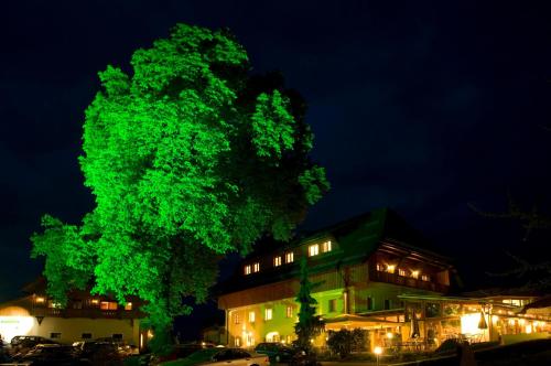 Hotel Zollner - image 12