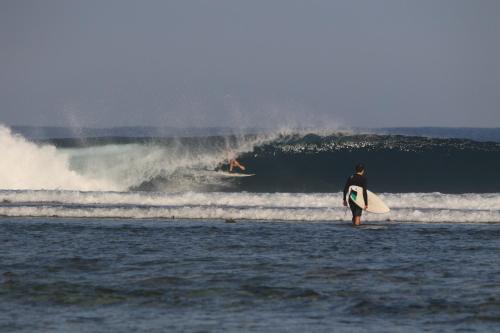 Karang Nyimbor Surf Camp Krui