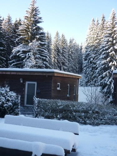 Viesnīcas āriene, Ferienhaus Bad Hundertpfund Typ C in Grossbreitenbach