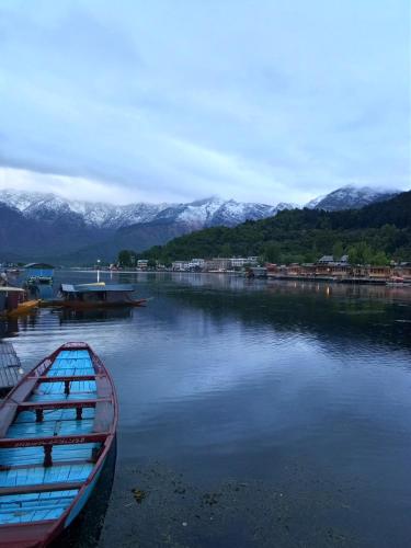 Photo of House Boat Young Holly wood
